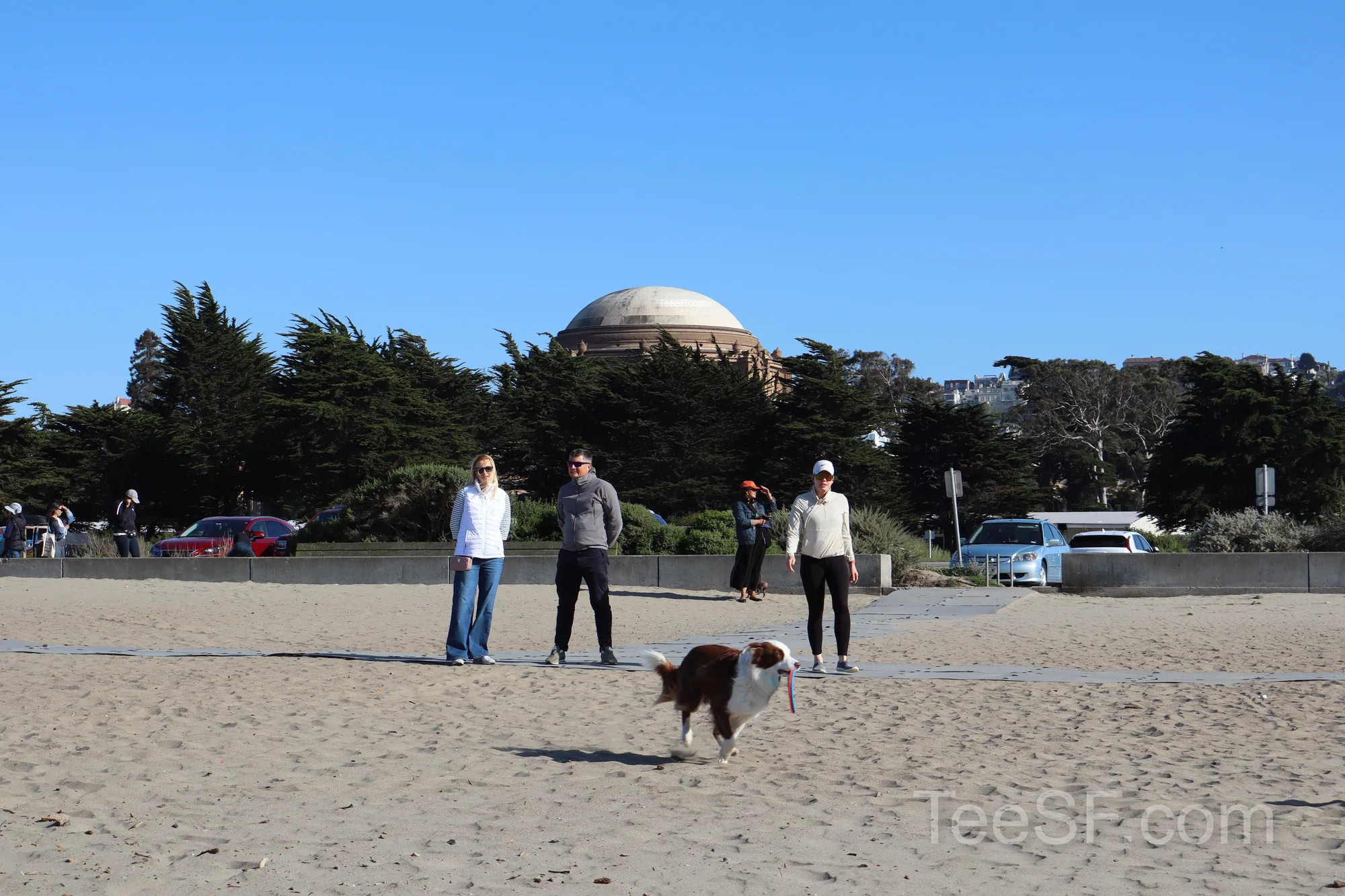 golden Gate Beach Dog And People during a Stripe Sessions 2026 visit in San Francisco.